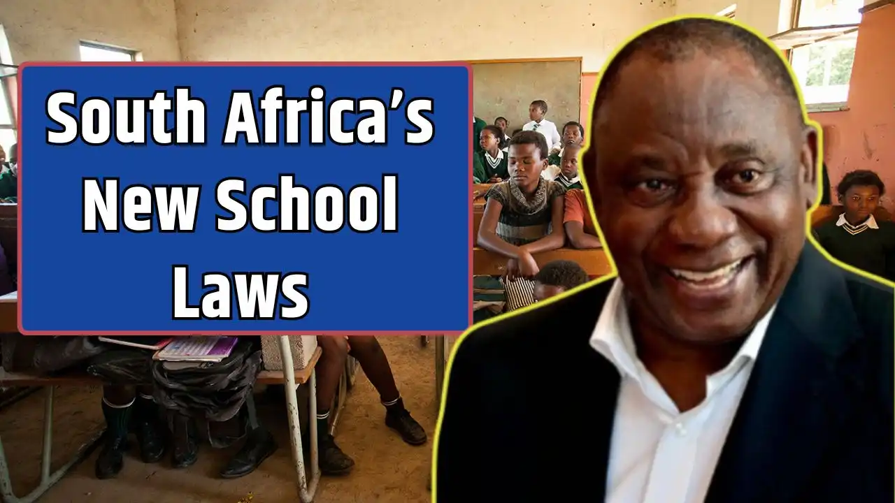 South Africas New School Laws